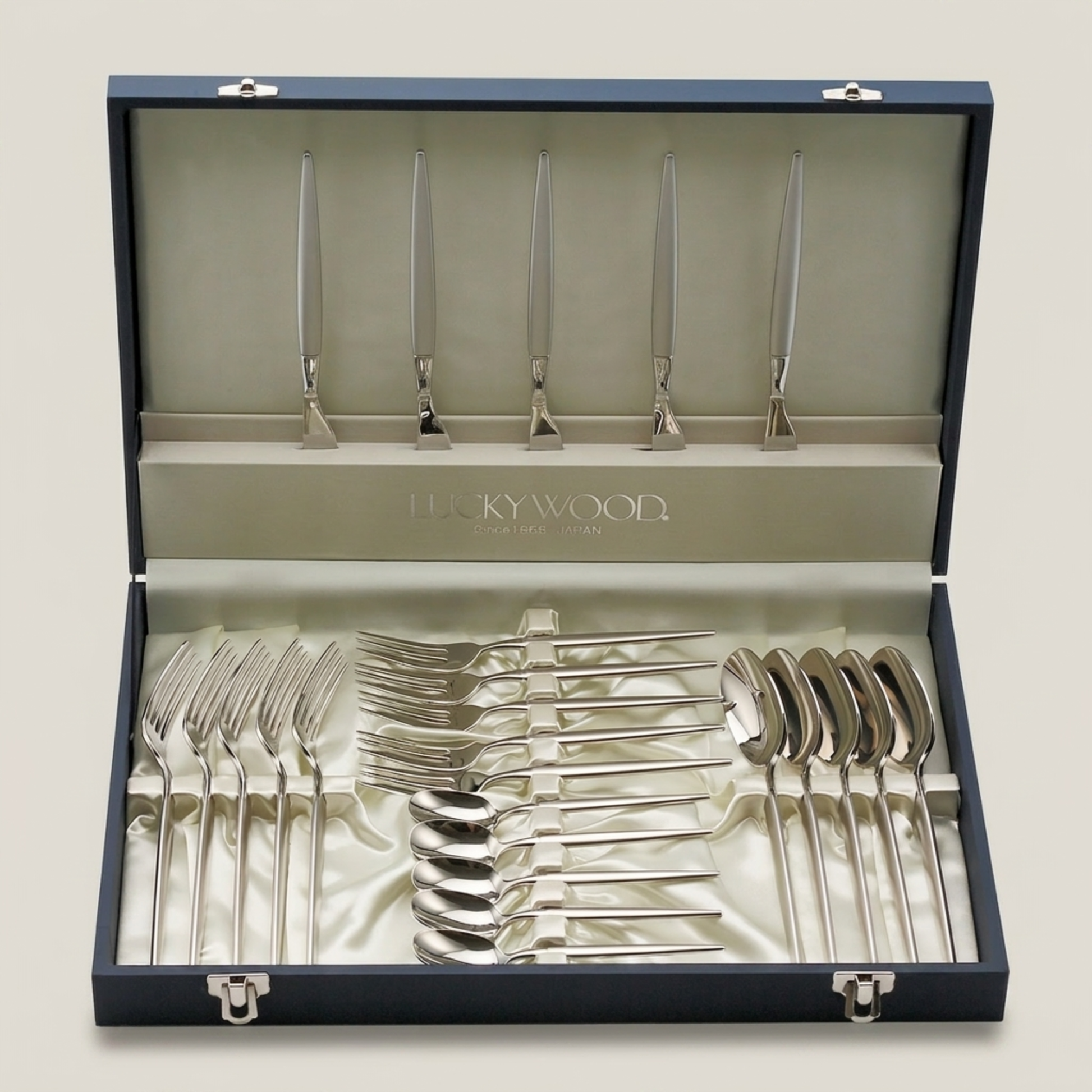 25-Piece Dinner Set for 5 by LUCKYWOOD